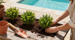 Monrovia Presents Garden Design Trends For 2027