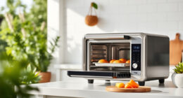 Ninja Foodi XL Pro Air Oven: The Ultimate Summer Countertop Companion