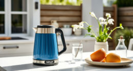 Ninja KT200BL Precision Temp Electric Kettle: Perfect for Summer Tea Time