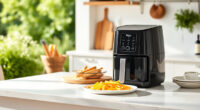 Summer Care Tips for Your Ninja Foodi DualZone Air Fryer