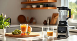 Summer Care & Troubleshooting for the Ninja Professional Blender