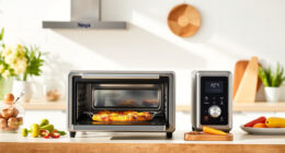 Summer Care & Troubleshooting Guide for the Ninja Foodi XL Pro Air Oven