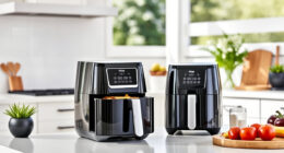 Summer Care & Troubleshooting Tips for the Ninja DoubleStack XL Air Fryer