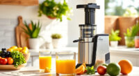 Summer Freshness: Must-Have Accessories for Your Ninja NeverClog Juicer