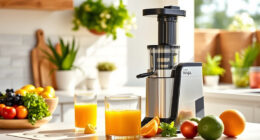 Summer Freshness: Must-Have Accessories for Your Ninja NeverClog Juicer