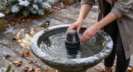 4 Smart Ways To Winterize Your Bird Bath And Stop This Life-Giving Water Supply Freezing Over