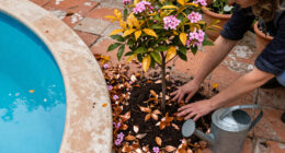 5 Fall-Flowering Trees To Plant In October – Bring Color And Fragrance To Your Cool-Season Garden
