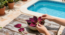 5 Reasons Amaranth Will Be Your New Favorite Plant To Grow & Eat