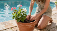 Petals & Roots: The Container Plant Recipe I Always Return To For Long-Lasting Color And Fall Beauty