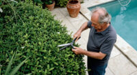 Richard E. Grant Uses Stunning Hedging To Zone His Magical Garden – It’s Ideal For Providing Year-round Colour