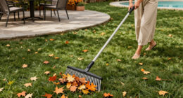 Skip Traditional Rakes: The Tool That Makes Cleaning Up Leaves Faster & Easier