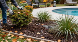 The 4 Types Of Plants You Should Mulch In October – And The Ones That Don't Need It