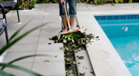 This Is The One Place I Never Let Fallen Leaves Pile Up In My Yard – It Saves A Bigger Job In Spring