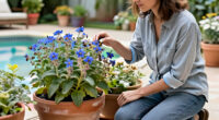 What Is Borage? Learn To Grow This Pollinator-Friendly Herb