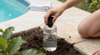 What Is Humic Acid? Humate, Humus And Fulvic Acid
