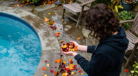 Why Leaves Change Color In The Fall