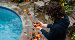 Why Leaves Change Color In The Fall